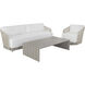 Verin 60 X 31.25 inch Greige Outdoor Coffee Table